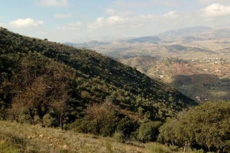 Almogía Casa Cuatro Vientos - Barranco Del Sol 빌라 외부 사진